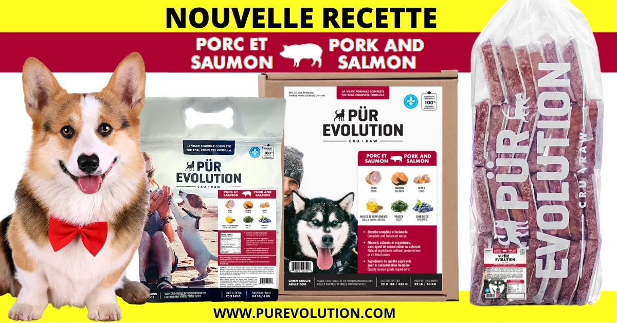 Pur évolution - Porc & Saumon - 13.6kg
